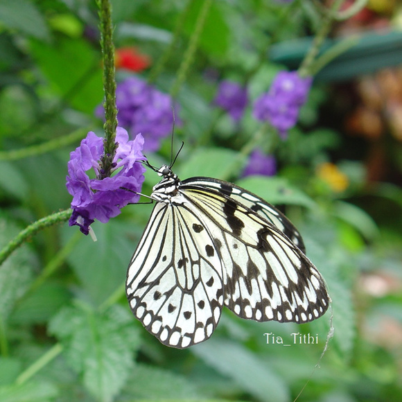 Thank you for sharing my closet =) - Picture 1 of 2